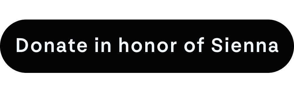 Boston Website Buttons (49).png
