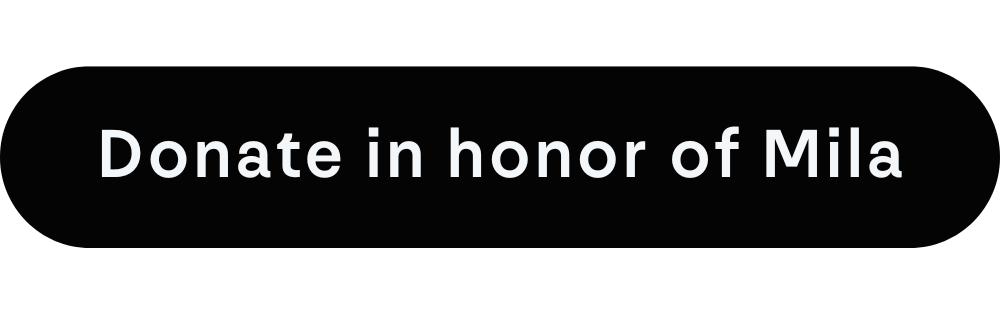 Boston Website Buttons (51).png